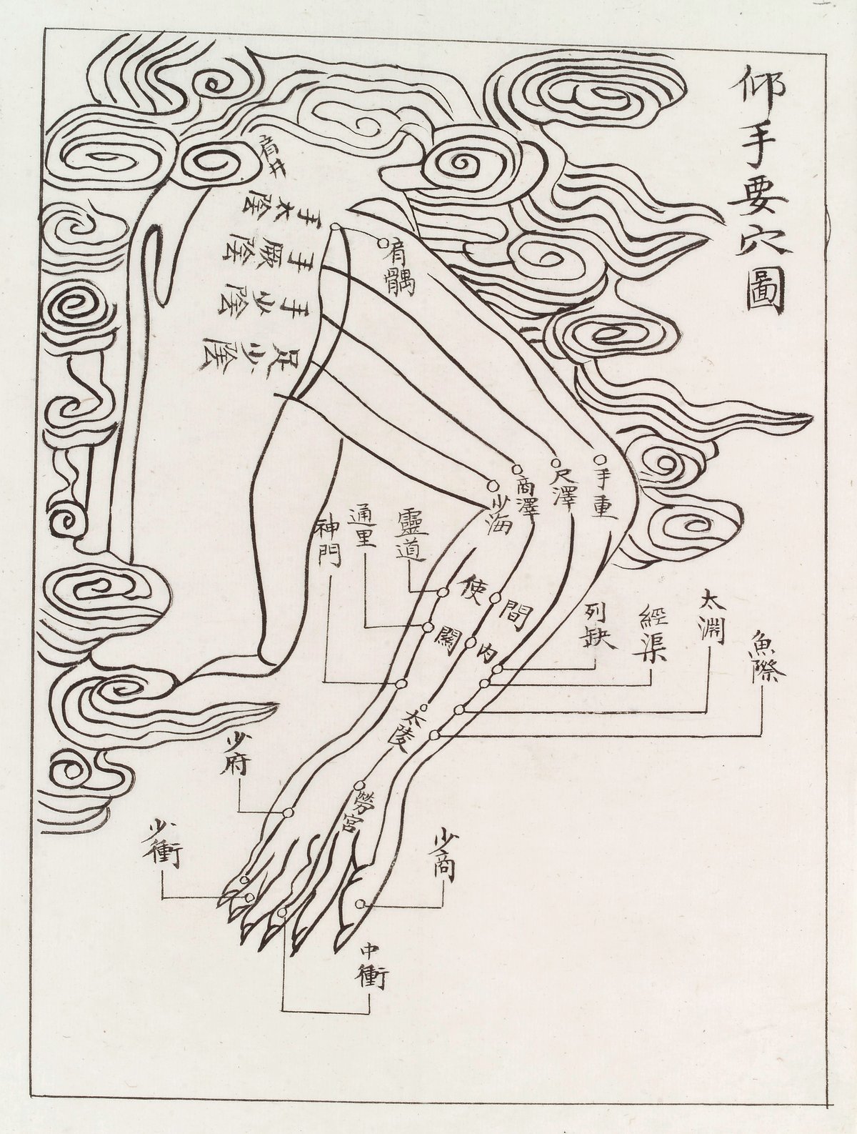 Diagrama de acupuntura mostrando puntos y meridianos del brazo desde Wikimedia Commons